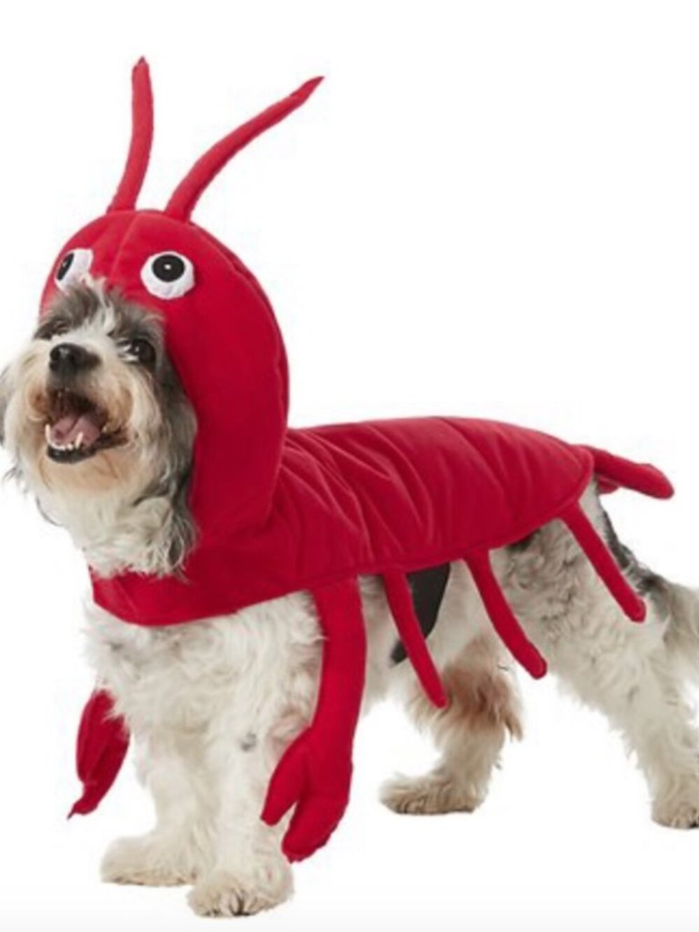 Dog Lobster Costume
